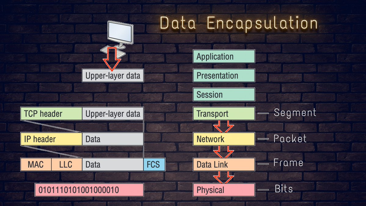 CCNABefore2020's tweet image. Data Encapsulation
#ccna #ciscoccna #dataencapsulation #pdu
Follow on Instagram for more
soo.nr/4IiG