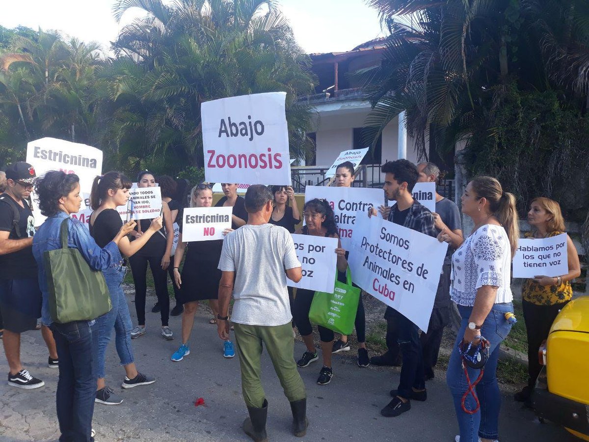#Cuba Con carteles de "Ley de protección animal", "No más estricnina" y "No más sacrificio", activistas protestan este lunes frente a las puertas del Centro de Observación Canina de Zoonosis contra la recogida y sacrificio masivo de perros callejeros. 14ymedio.com/nacional/veint…