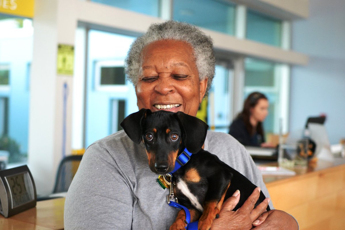 LASPCA's tweet photo. Woofs & Meows to the 58 rescue pets that adopted a human last week! #adoptdontshop #laspca https://t.co/VvMLXJSFum