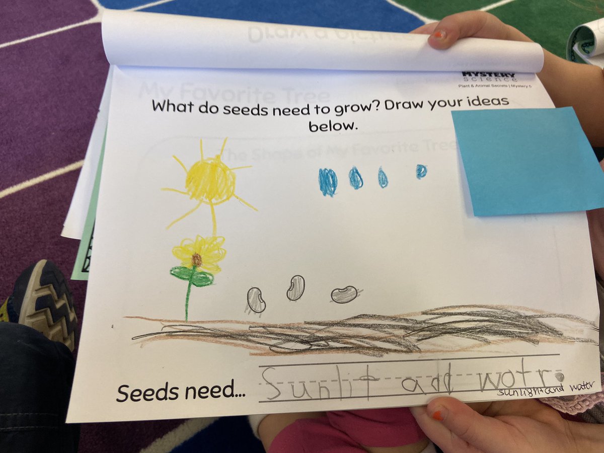 CherryHillSTEM's tweet photo. Kindergarten scientists and readers have great discussions about what plants need to grow in class with @HammelJill https://t.co/YEMHrWqm3H