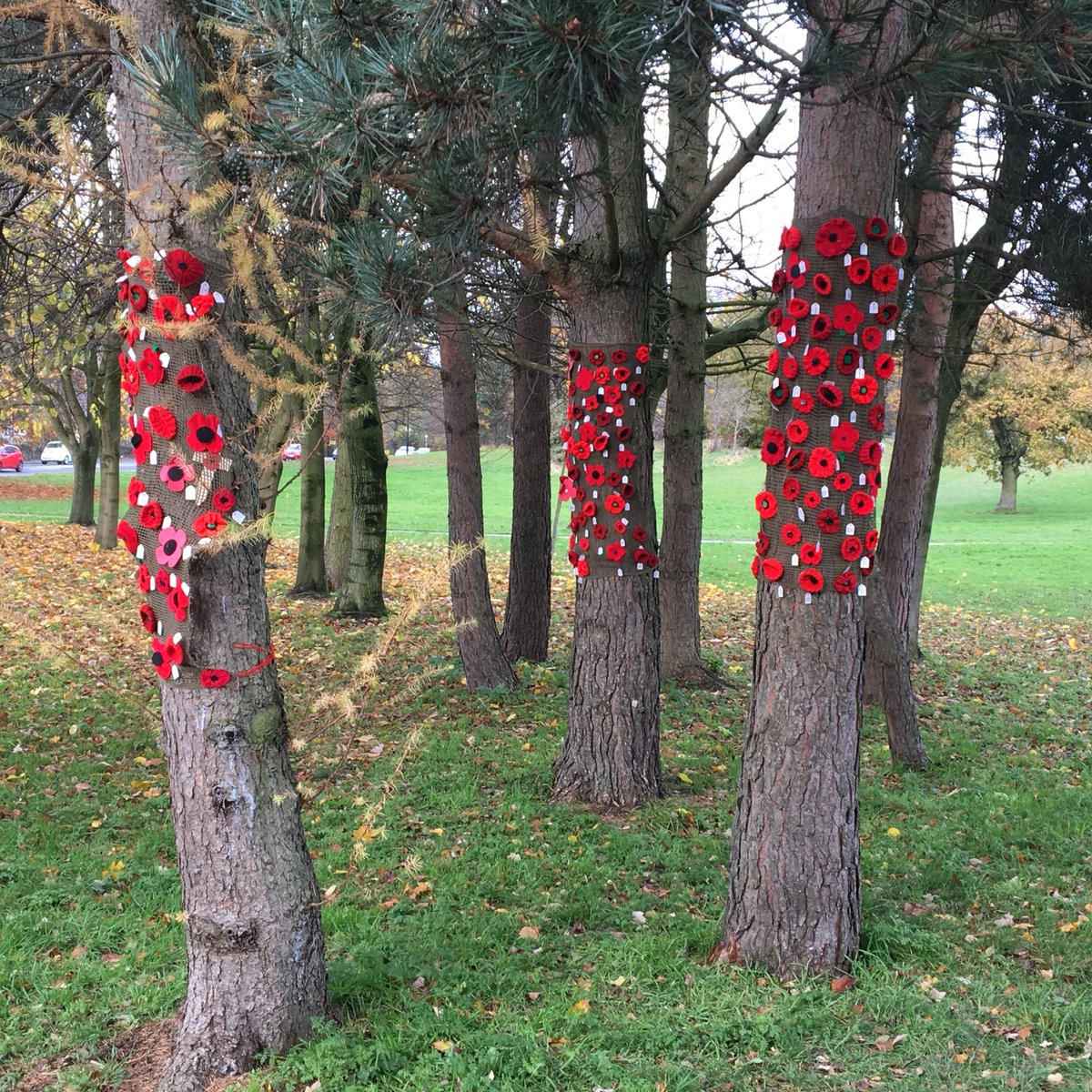 Beautifully poppy decorated trees close to our Nunroyd Commemorative Garden where Pat laid a wreath on behalf of the three of us this morning.