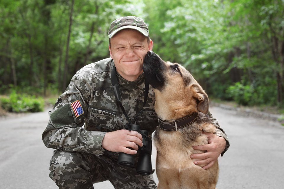 petsuppliesplus's tweet photo. In honor of Veterans Day, we want to thank all of those who have served our country, past, present, and future!! #petsuppliesplus #minusthehassle #veteransday #petsplusvets #USA #grateful https://t.co/tBqgSFpEiL