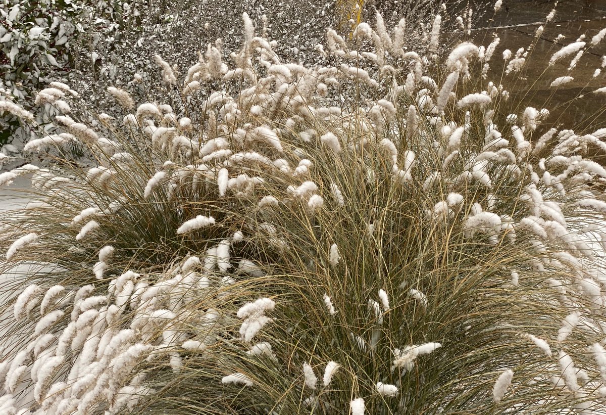 bjb1124's tweet photo. So this is what I woke up to.... #WinterAlready? We're supposed to be getting 5" today! #Ugh https://t.co/O6CDhit0OG