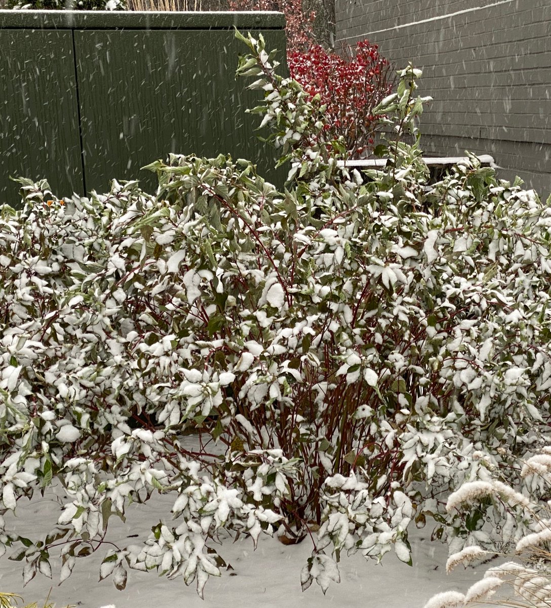 bjb1124's tweet photo. So this is what I woke up to.... #WinterAlready? We're supposed to be getting 5" today! #Ugh https://t.co/O6CDhit0OG