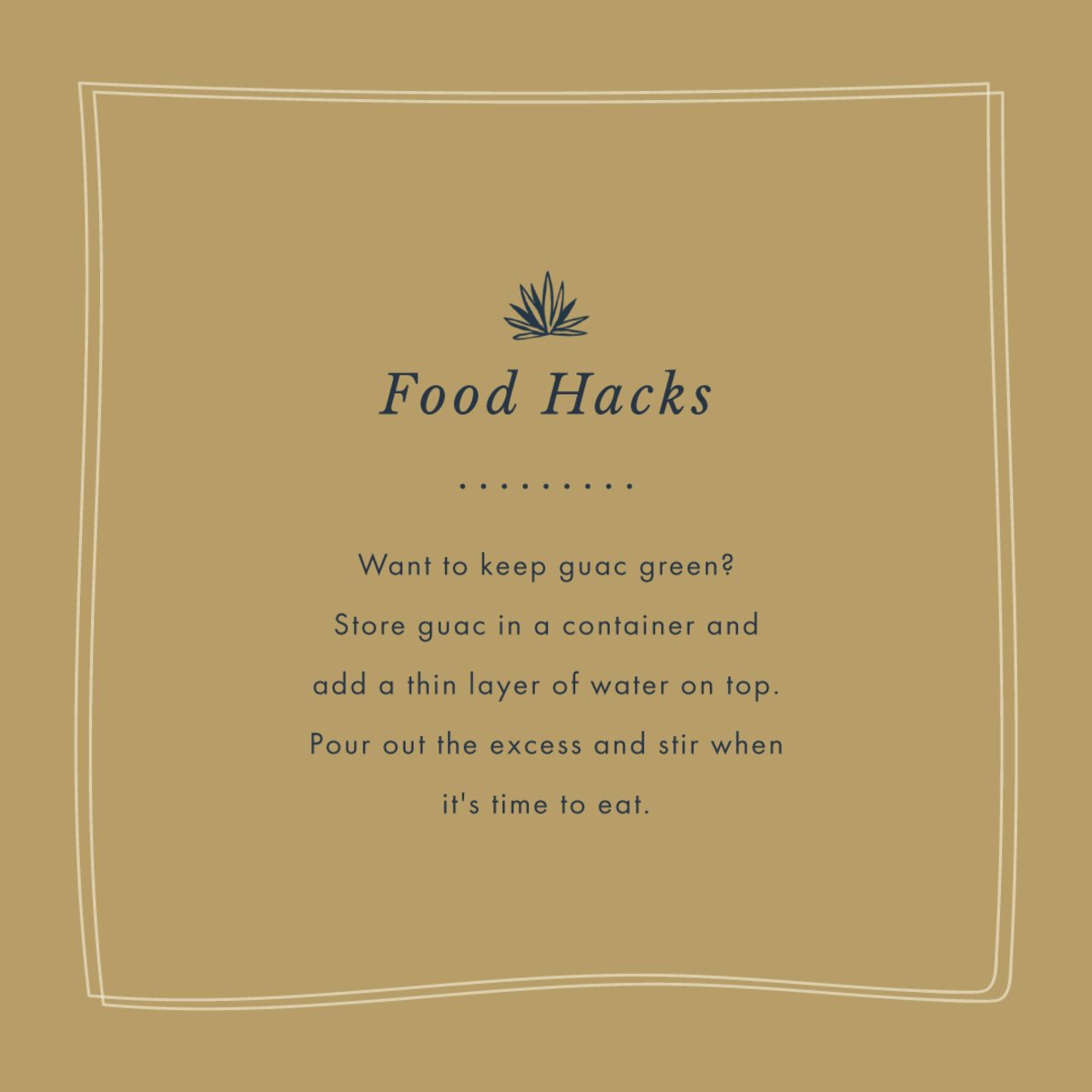 MesaMezcal's tweet photo. We’re here to help you save face on that guacamole you just whipped up. https://t.co/bXLi3T6yQh