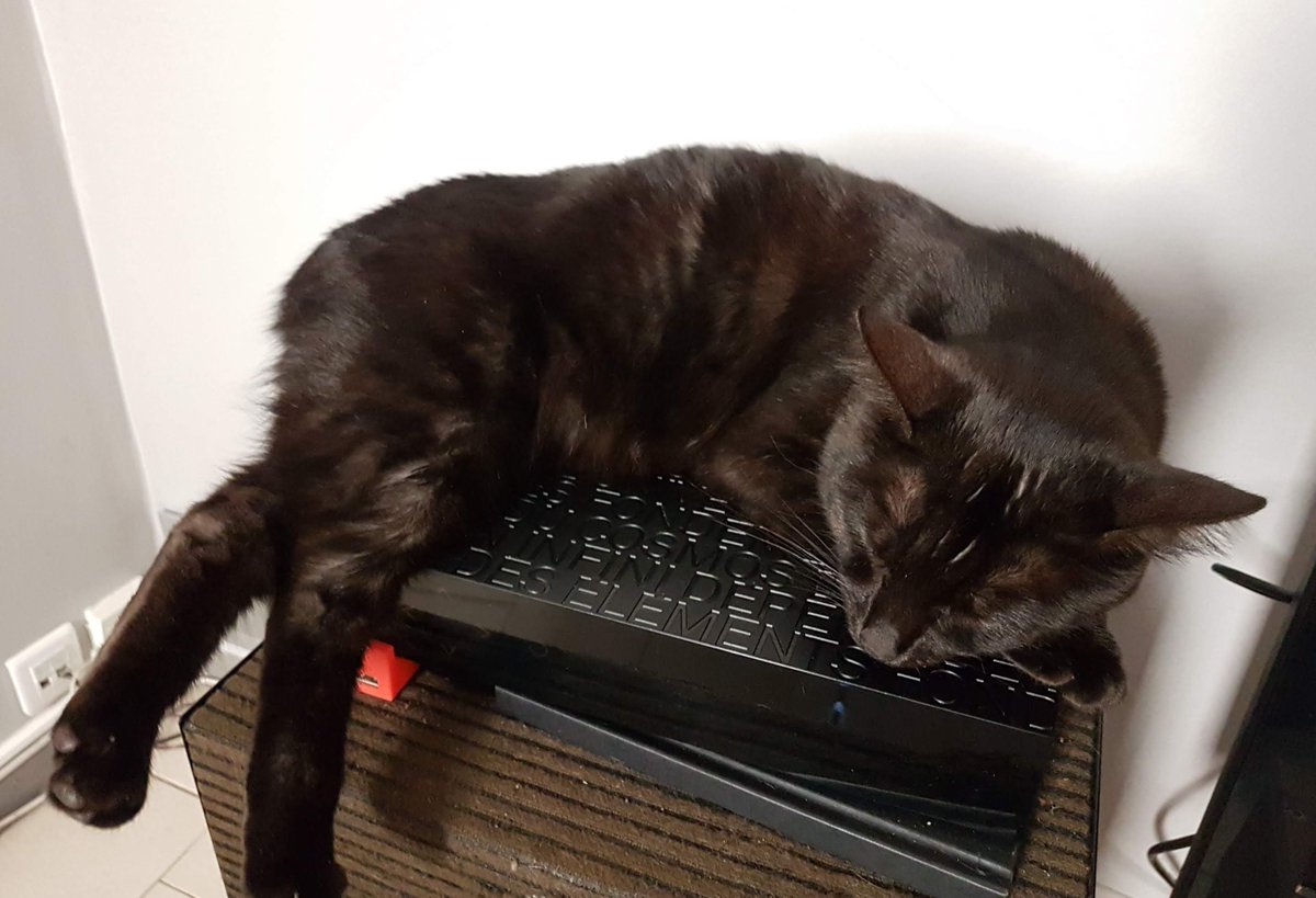 OmegaCat4's tweet image. Salut les chami-e-s, j'ai beaucoup délaissé le twitwi depuis un moment passeque je suis très occupée. 

Toute la journée j'explore le grand dehors et quand je rentre maison c'est l'heure du grododo. C'est important aussi le grododo.