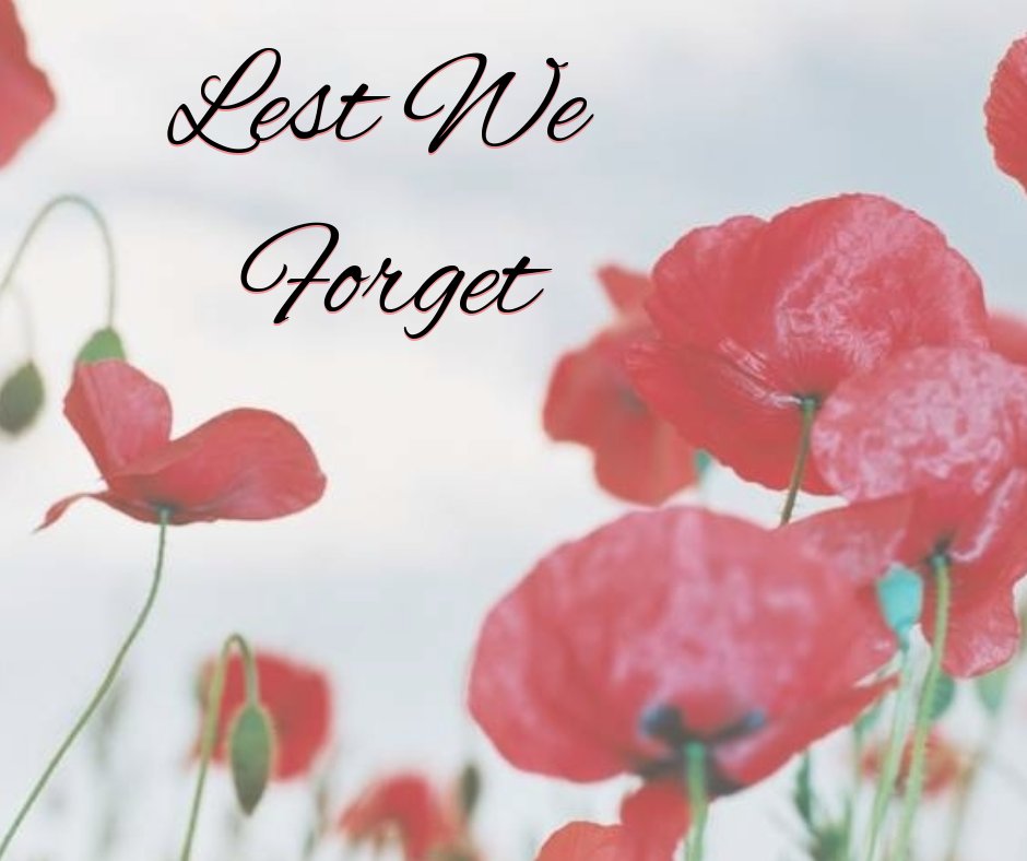 On behalf of the River City Hyundai family, I want to take a moment to honor and remember the Veterans as well as thank those currently serving in our Military as well. Today, please take a moment of silence in honor of our Veterans and Soldiers, and please where a Poppy