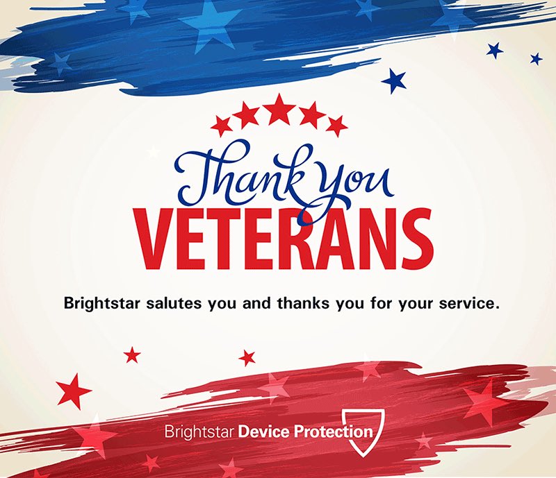 T. Collie (@tmastincollie) on Twitter photo 