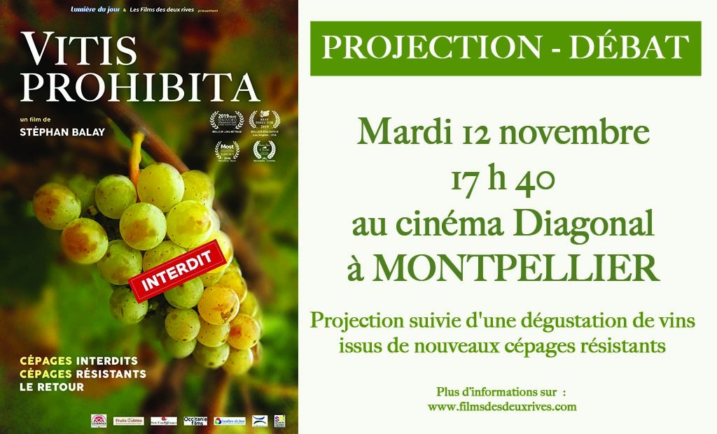 #VitisProhibita 
De nouveaux cépages pour une viticulture sans pesticides
Connaissez-vous l’incroyable histoire des vins interdits ?
Projection spéciale suivie d'une dégustation ! #montpellier #diagonal
