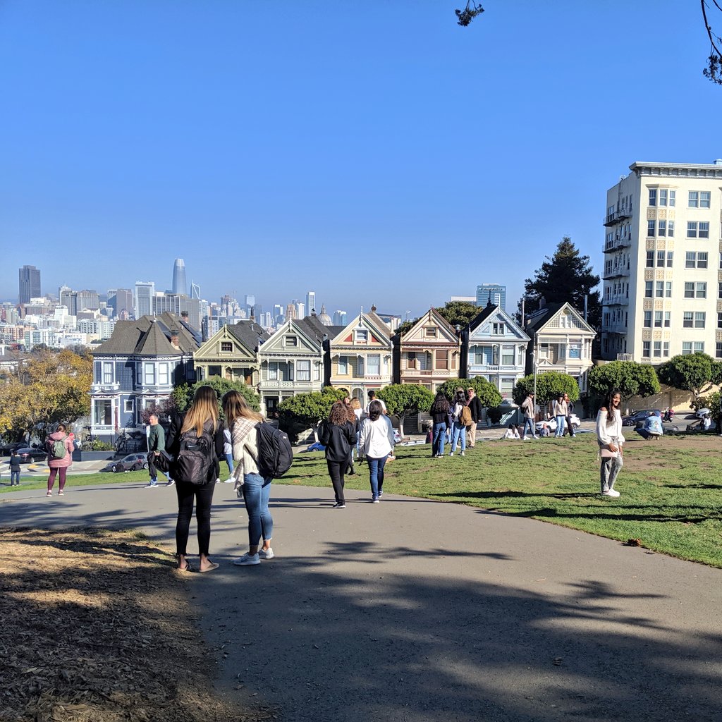 Painted Ladies