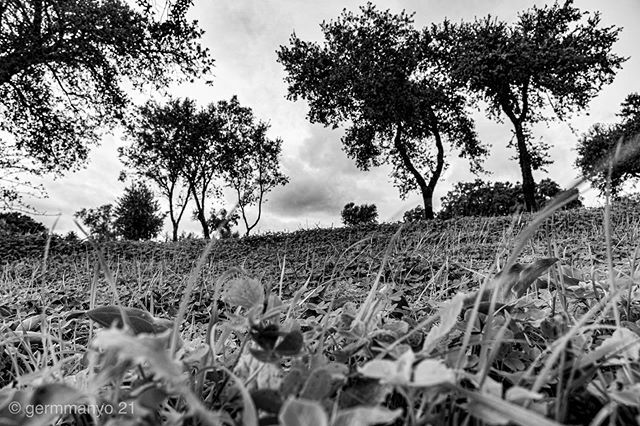 Greenland 
#blackandwhite ##monochrome #photography #instapic #instamood #instabw #insta_bw #instablackandwhite #flush  #bw_lover #bw_photooftheday #scapeland #bw #instagood #instadaily  #aceitunas #insta_pick_bw #ground #shadowandlight #instabeautifull #monotone #monochroma…