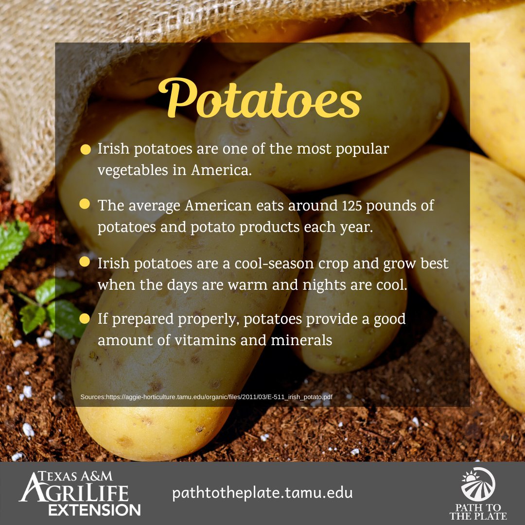 Potatoes are an inexpensive source of carbohydrates and when prepared properly, provide good amounts of vitamins and minerals!