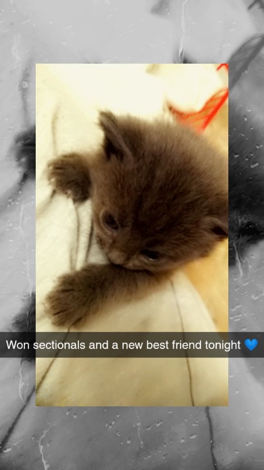 Taylorcorbin2 tweet picture
