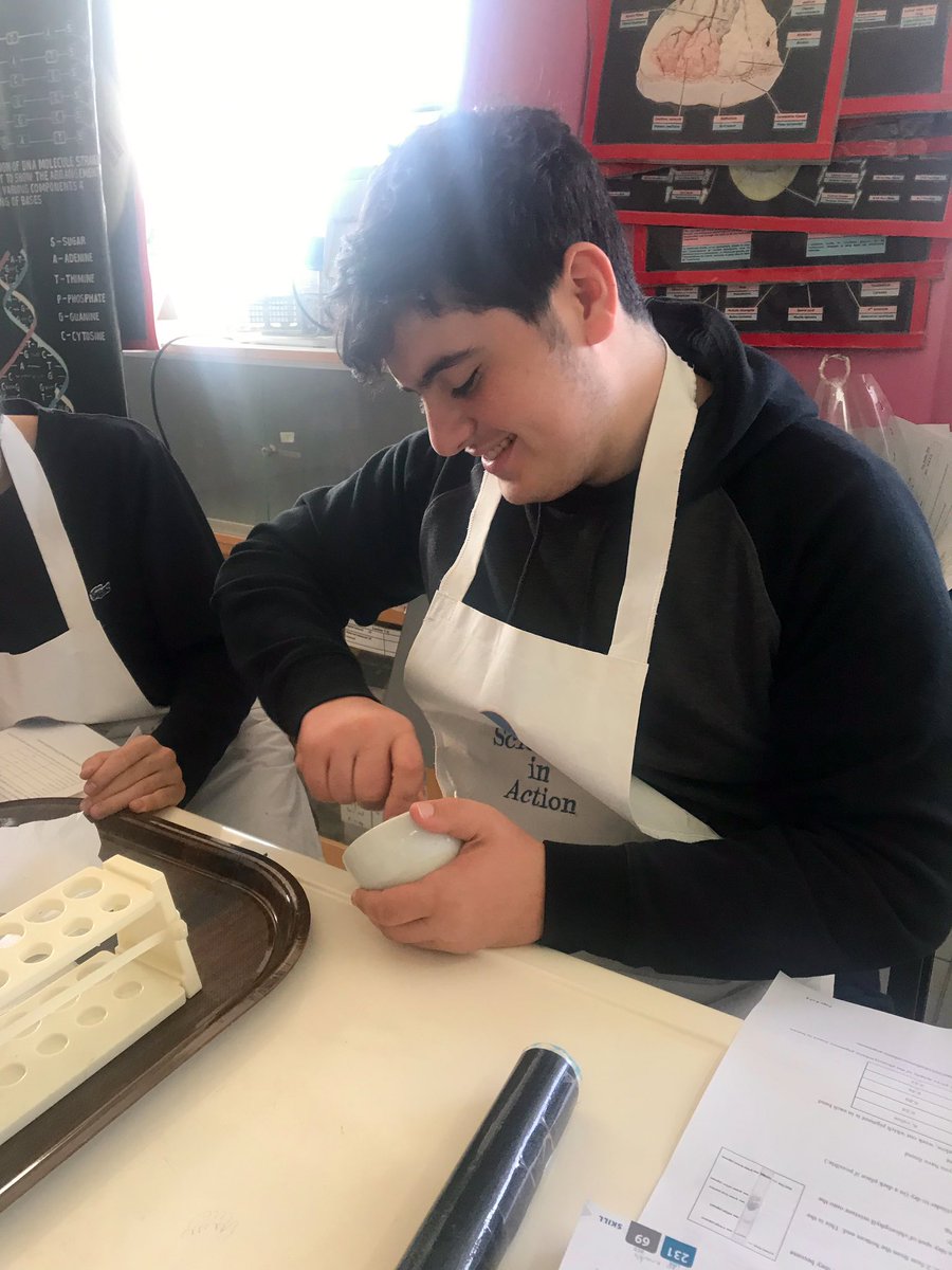 RoweidaB's tweet image. Using paper chromatography to identify the various types of pigments found in spinach cells. Students make their observations and come up with adequate conclusions #ibbio #topic9 @monamajzoub @Hhhsinfo