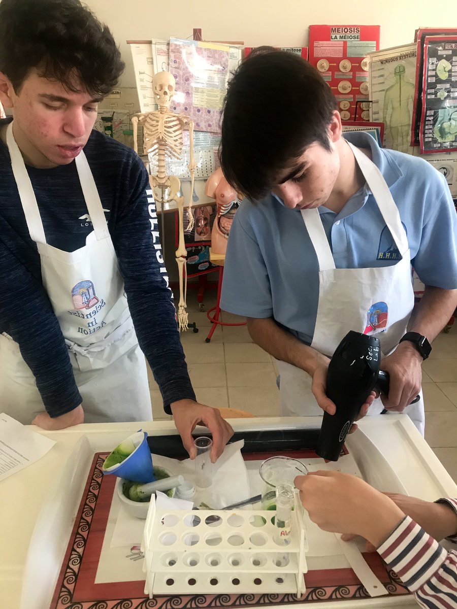 RoweidaB's tweet image. Using paper chromatography to identify the various types of pigments found in spinach cells. Students make their observations and come up with adequate conclusions #ibbio #topic9 @monamajzoub @Hhhsinfo