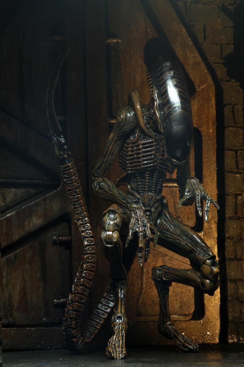 1CLASSICPLASTIC's tweet photo. Alien 3 - 7" Scale Action Figure - Ultimate Dog Alien by @NECA_TOYS is available today! Grab yours now!

https://t.co/DgoSuiOqGz

#neca #necatoys #shoplocal #shopsmall #actionfigures #alien #aliens #toys https://t.co/L0zJnNWnqU