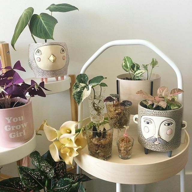 monsterthreadsA's tweet image. How cute is this shot from @sydneyplantmum! Seeing Monsterthreads gear in your spaces is always so exciting. Remember to tag your Monsterthreads gear #monsterthreads.⁠
.⁠
.⁠
.⁠
#planter #potplants #playfulpottery #faceplants ift.tt/2NDY0xB