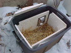 txpawprints's tweet photo. It's not too late to make a shelter for your local outside community/feral cats before it gets below freezing tonight.

The link below shows how to make quick and inexpensive cat shelters for the winter.

https://t.co/y10FOIMaPN

#feral #communitycats #coldweather #winteriscoming https://t.co/rdCH2g9lzd