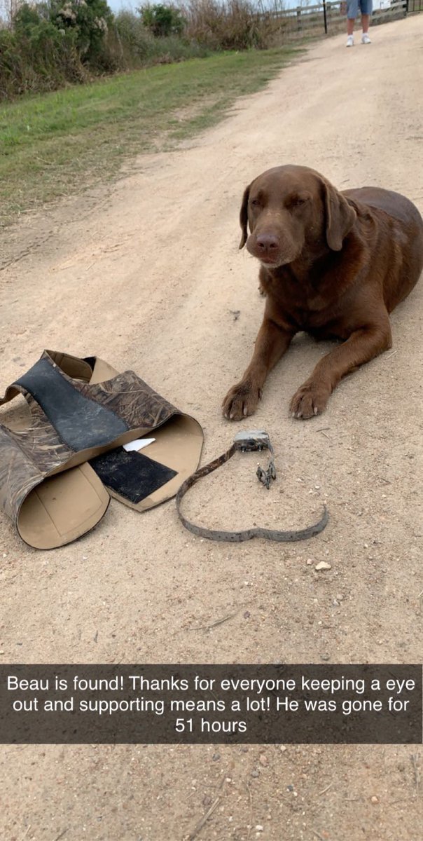 turboty4210's tweet photo. BEAU IS HOME thanks again everyone! https://t.co/gz6PgmNy0D