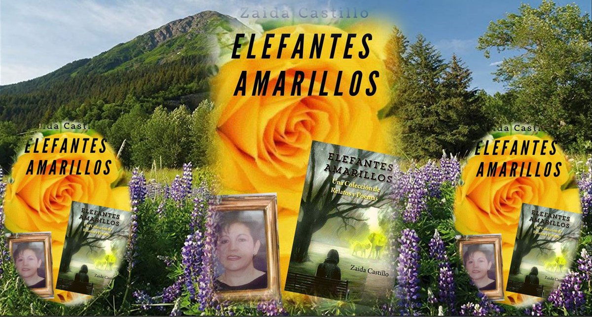 ELEFANTES AMARILLOS, de @zaidacastillo51 , una colección de #relatos cortos y #poesía que muestra una visión sobre el dolor ajeno, el propio y el pasar del tiempo. Disponible en #Amazon: leer.la/elefantes #Poemas #AlgoparaLeer