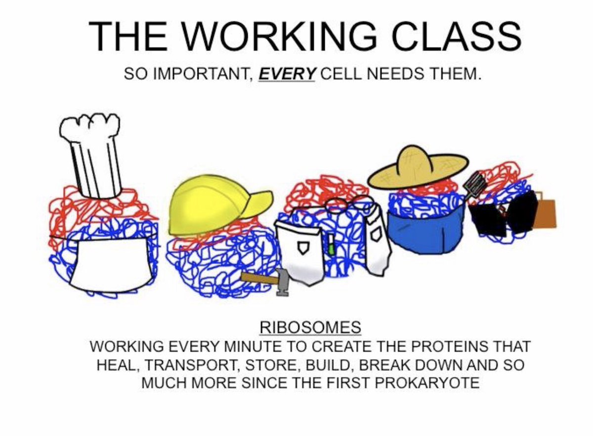 RiboGnome's tweet photo. https://t.co/5dRFNmZfqE