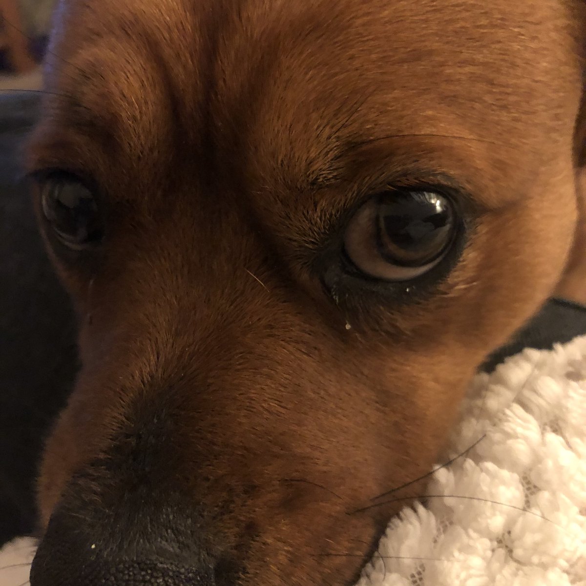 My mum and I are both poorly (although I think she’s just trying to steal my sympathy). Sadly no visits again this week :-( hopefully we will both be back on it next week.