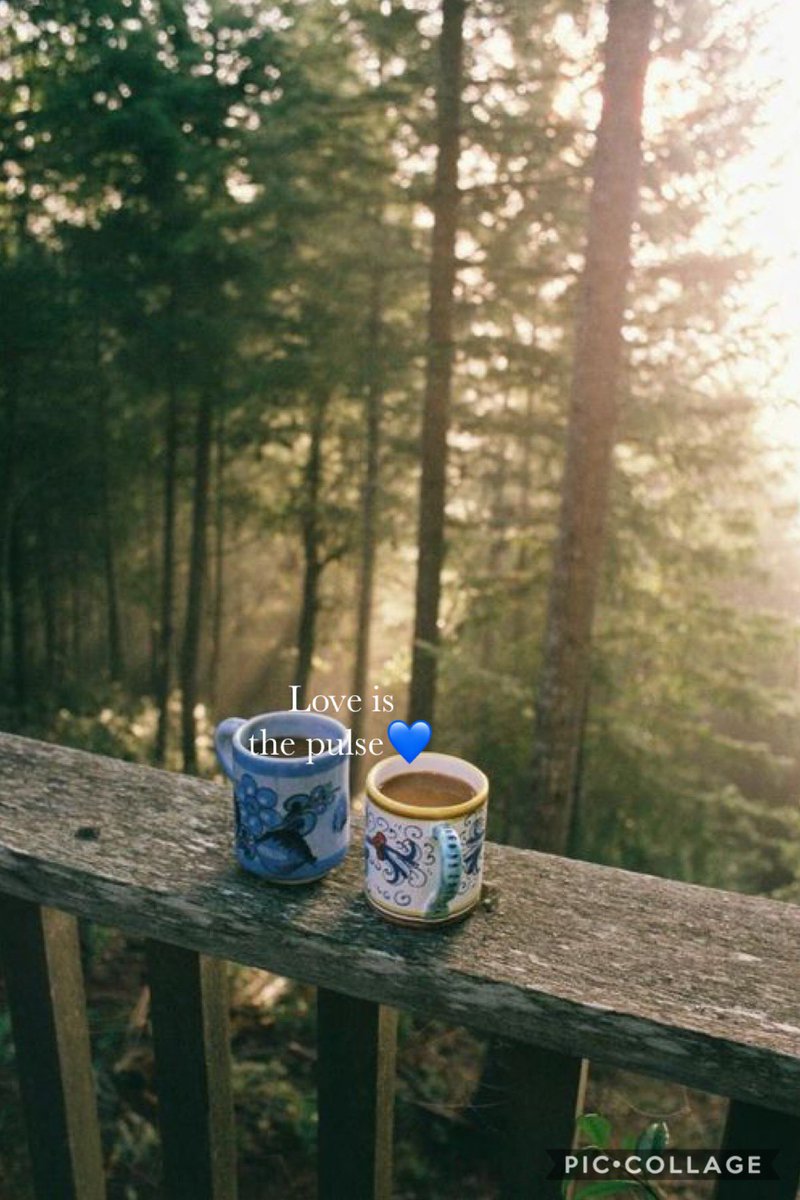 NajemHaifa's tweet photo. @YNHallak Happy Monday Yaacoub ...💕
Coffee for two..🌸
#loveIsThePulse 💙
#RomeoAndJuliet 🌸
OH...The balcony😍 https://t.co/E13xaGdYz1