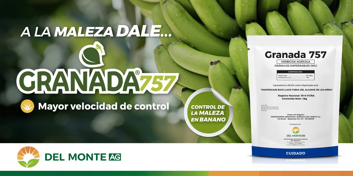 A la maleza DALE Granada 757 , con mayor velocidad de control y granulos dispersables para mejor efectividad de la aplicación, ideal para su cultivo de banano. Del Monte AG con productos de calidad &amp; innovación 

Visítanos:
delmontecuador.com