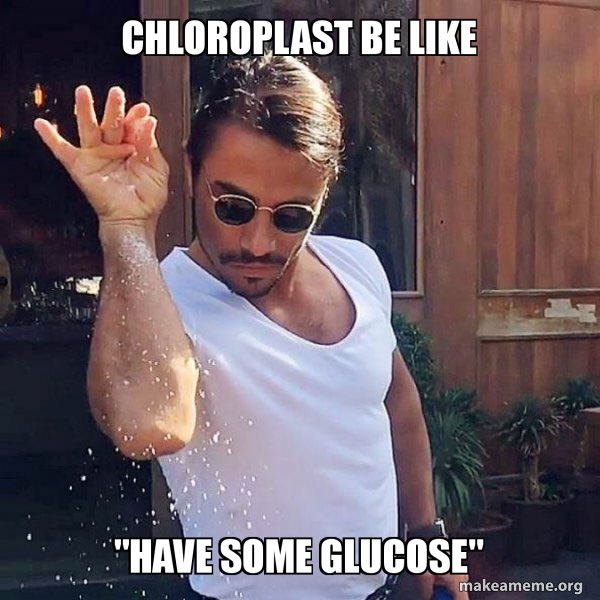 chloropals's tweet photo. Because we season the cell with energy https://t.co/0FbO3sRRqG