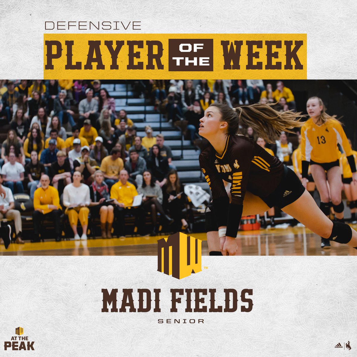 WYO_Volleyball's tweet photo. Madi Fields and Tara Traphagan Sweep Mountain West Player of the Week Awards! 

📰 | https://t.co/Qc0m3Dtqqa

#OneWyoming #GoWyo https://t.co/2pWG7YhAxo