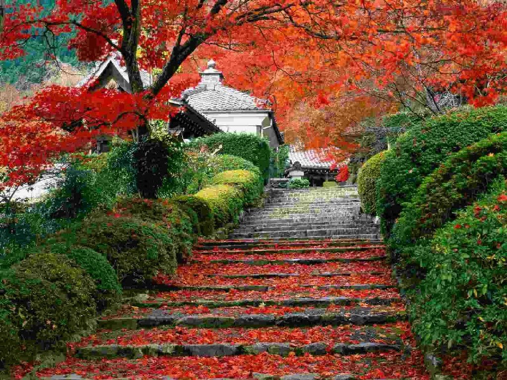 Techrose11's tweet photo. Study nature, love nature, stay close to nature. It will never fail you - Frank Lloyd Wright
#MondayVibes #MondayMotivaton
#mondaythoughts__ #NaturePhotography #travelphotography #quoteoftheday https://t.co/9MGUlSgw8l