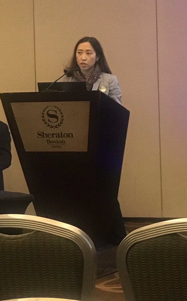 Tireless advocate @swang8 telling us strategies for developing/furthering HBV elimination in the U.S.  #LiverMtg19