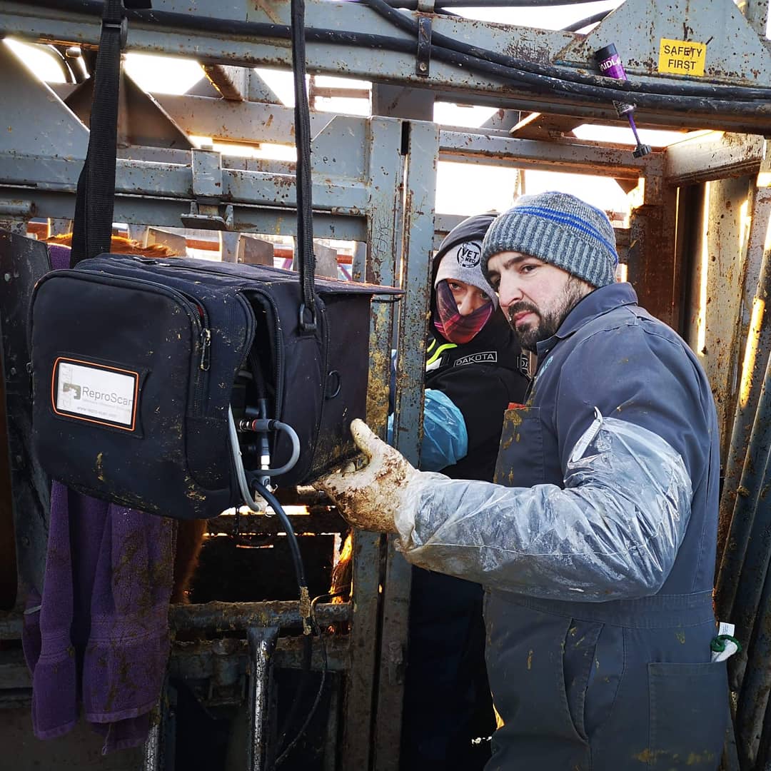 wcvm_pac's tweet photo. #PACtrip2019 ended with a bang, a very cold bang!
The PAC headed to Bonnyville Veterinary Clinic and were shown the ropes by Dr. Greg Benoit.
Our members got hands on experience using Ultrasonagraphy to preg check 120 cows, and even got the chance to dehorn a few!
#cowvet https://t.co/ZUnAhbLKkg