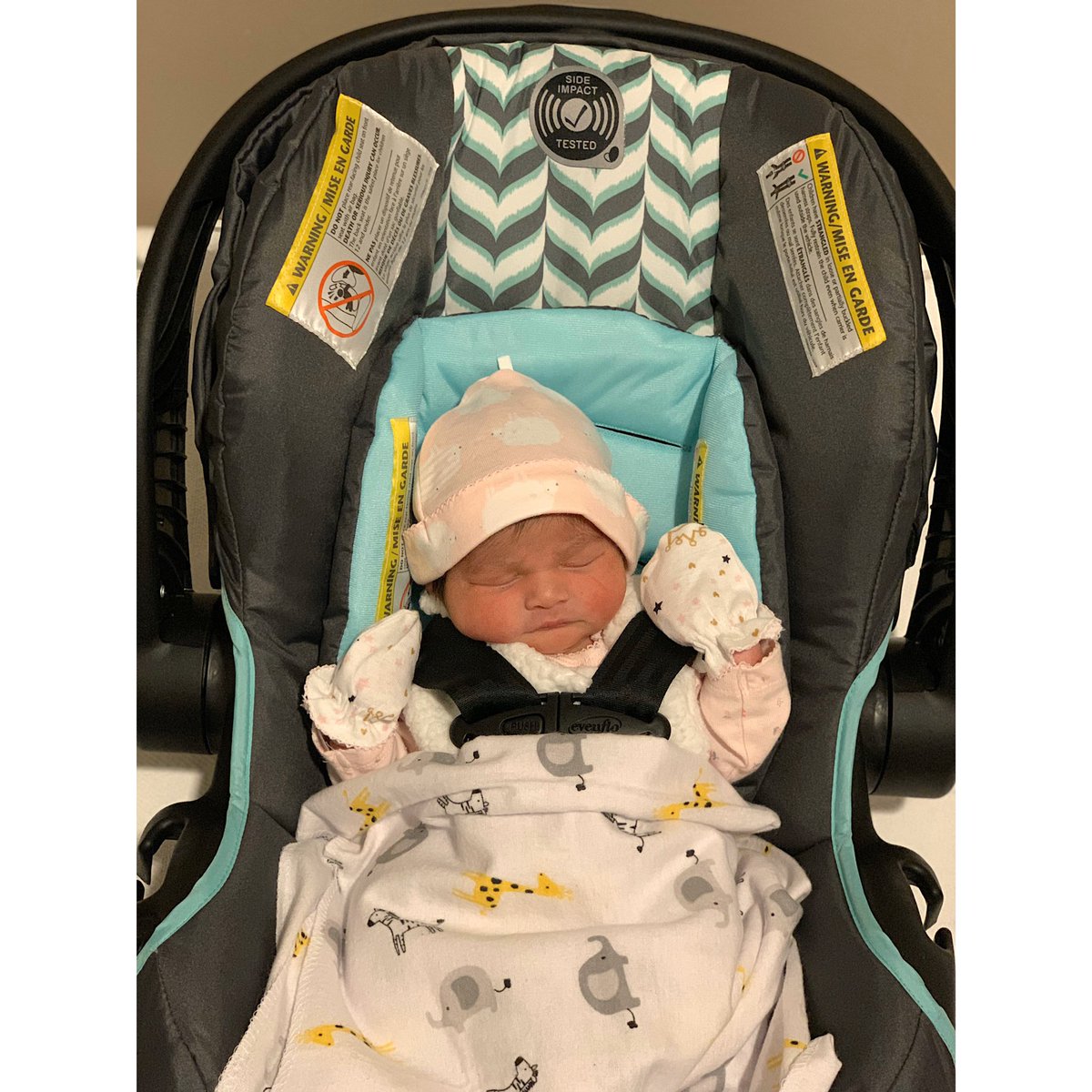 violeta_gee's tweet photo. Scarlet Ortiz ❤️ Born November 8th ❤️ 7.9 lbs ❤️ 20.5 in ❤️ https://t.co/uMHDNgZJmi
