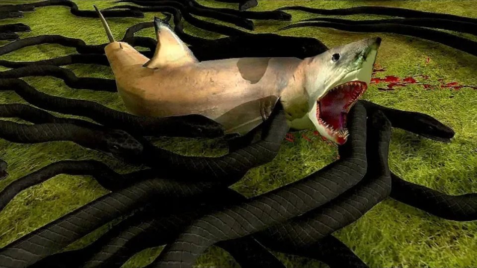 Marakase5's tweet photo. VÍDEO NOVO DA @MoonKase 

TÍTULO: COBRA GIGANTE VS. TUBARÃO (BEAST BATTLE SIMULATOR)

LINK: https://t.co/dcqkRMItjH

DATA: 11 DE NOV, DE 2019

DEIXA O LIKE!!!

THUMBNAIL: https://t.co/yR6DE49Q6E
