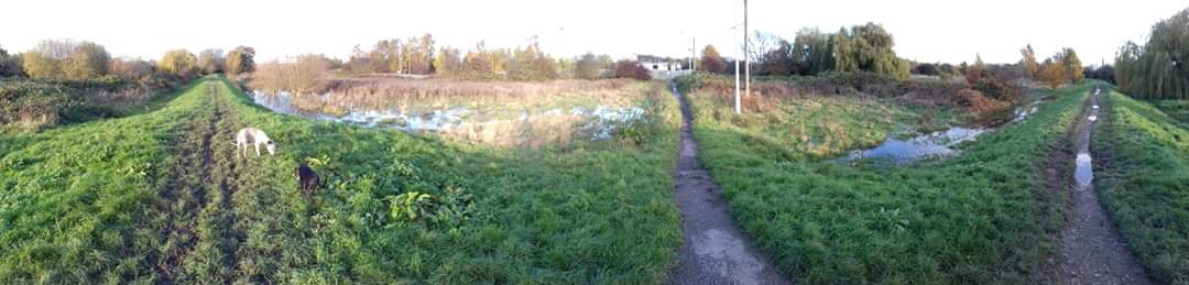 NetsNot's tweet photo. #PressRelease from #StopHS2Erewash #StopHSTrowell @PA Time to Flush Away #HS2 They're Going to Need a Bigger Pump! No Hydrology! As this community is flooded out they are still fighting the greatest threat they are facing #HighSpeed2 https://t.co/q9J6vTceXN #Flooding #StopHS2 https://t.co/sUAD7cmn0h