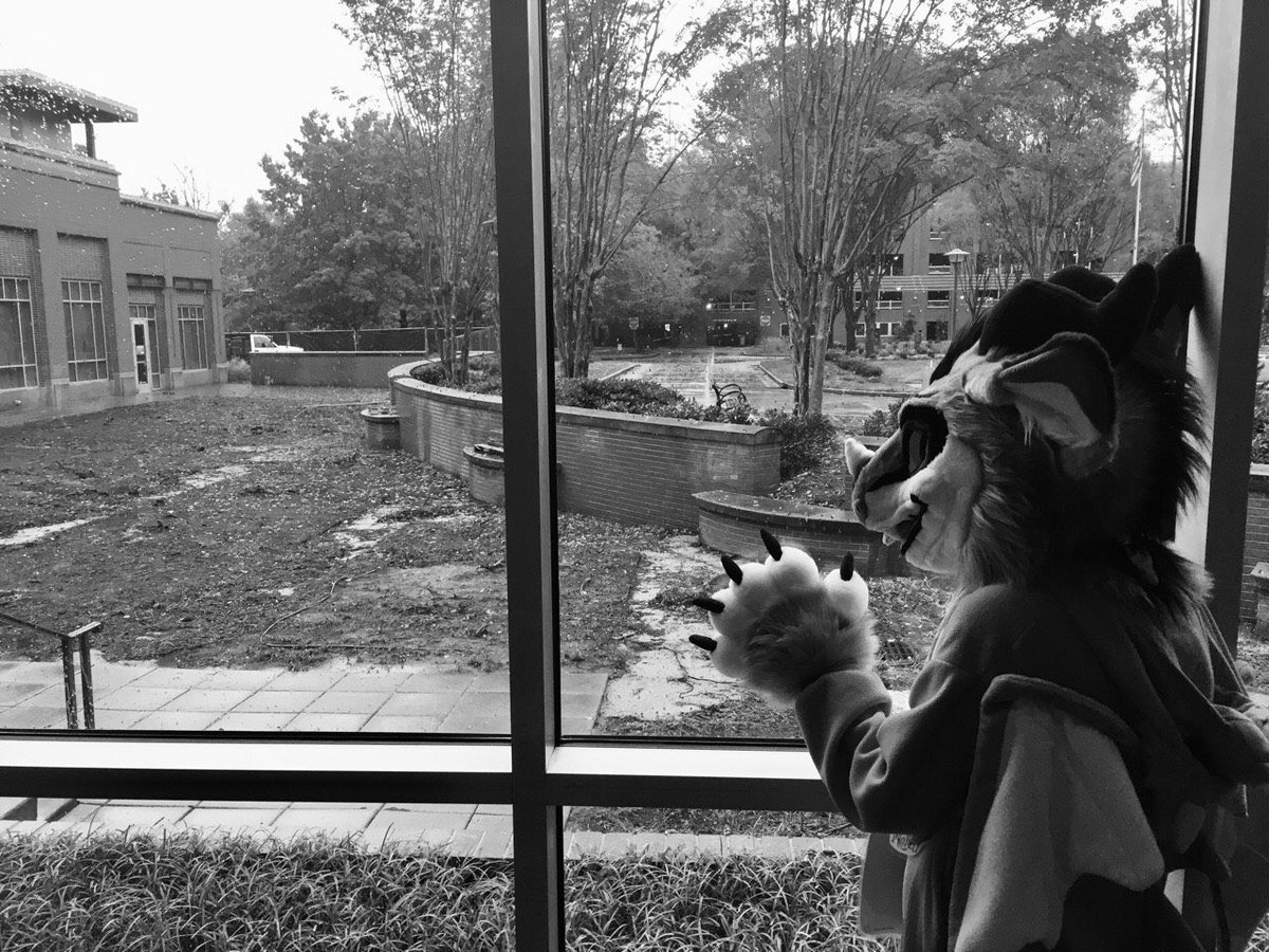 Azorukonn's tweet photo. Alright finally time for my ASE photo dump yEET I’ll add to it as I get more! #anthrosoutheast https://t.co/SPeGhojnWg