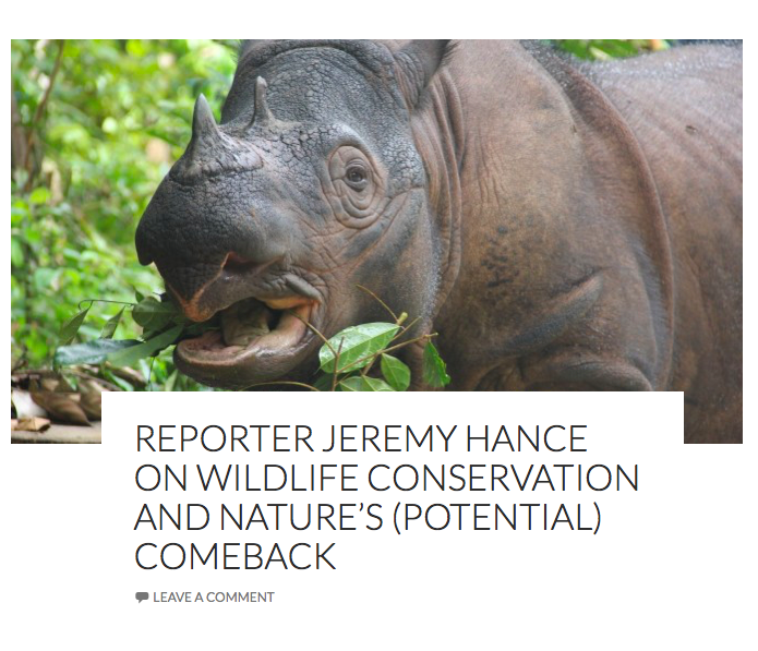 mongabay's tweet photo. Hear our @jeremy_hance on @WCBN_FM Ann Arbor about the origins of Mongabay, his environmental journalism career and more: listen to his "Hot in Here" @ihih_radio interview with host @isaacs_bella here: https://t.co/9JbHxga0ZT https://t.co/KSy7YtsXCM