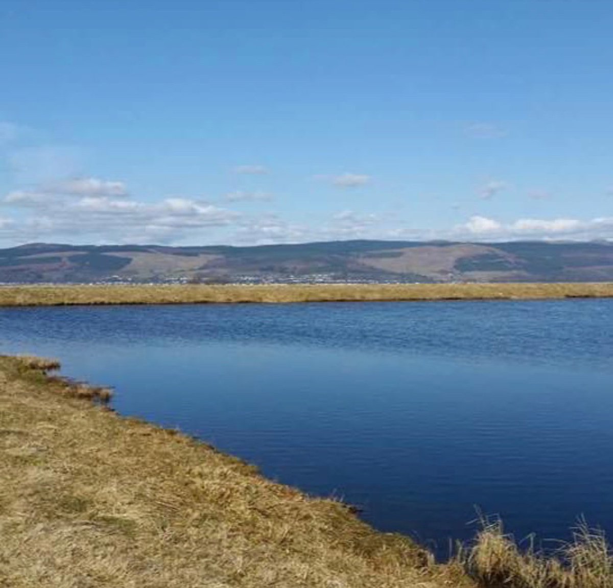 Skelmorlie Fishery 🏴 tweet media