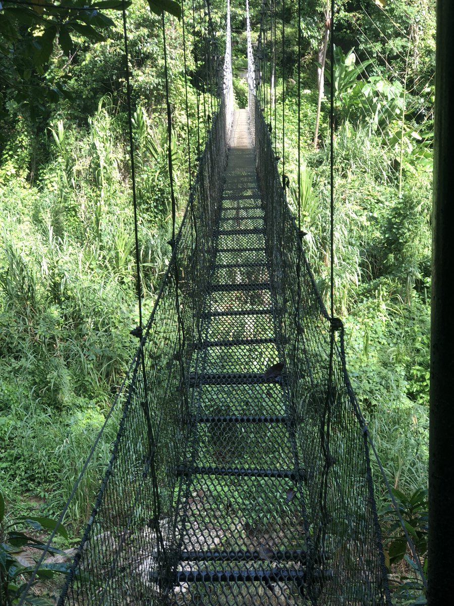 stem_math's tweet image. Utuado, Puerto Rico