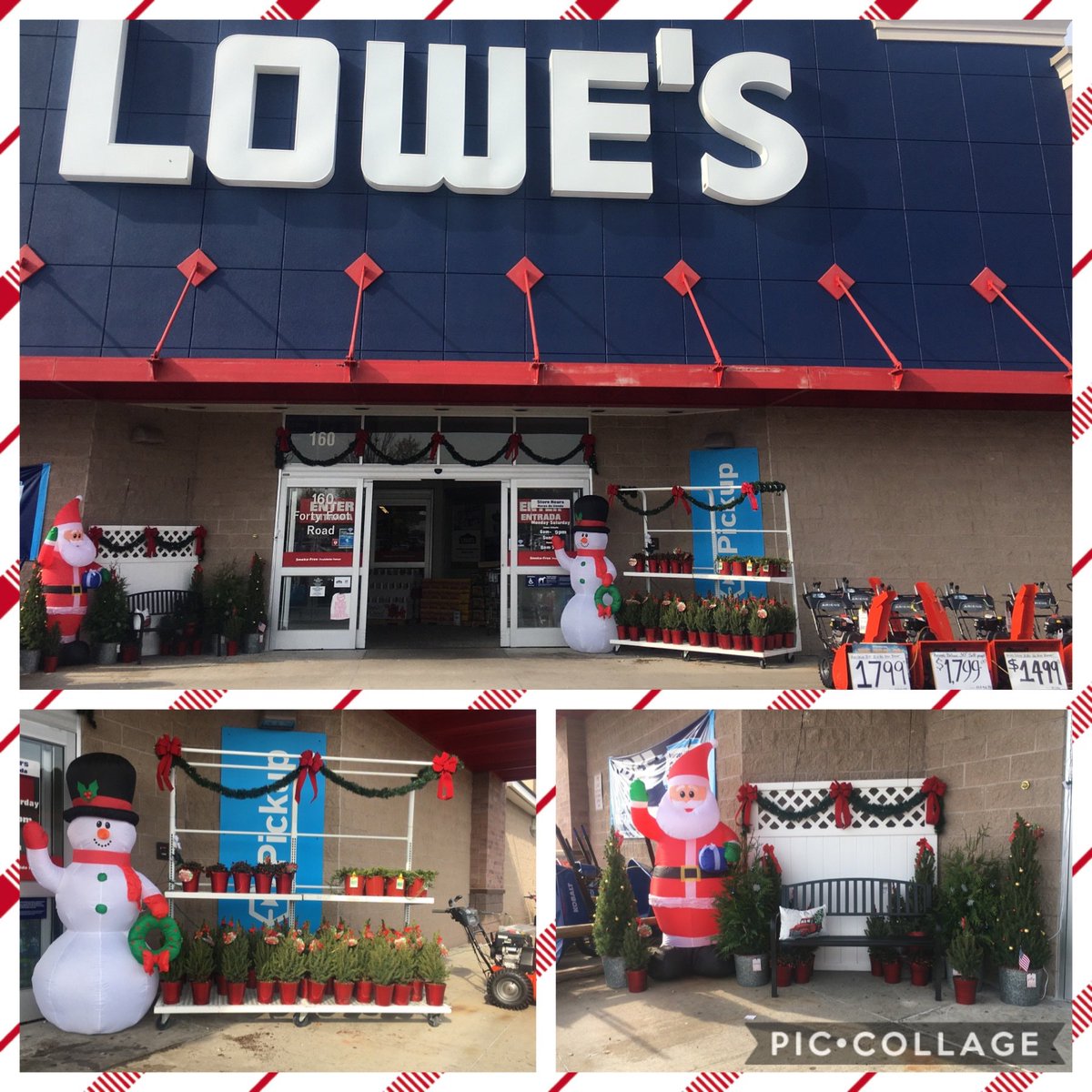 Lowes of Hatfield tweet media