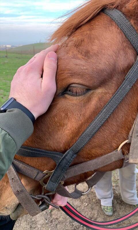 Netadver's tweet image. 