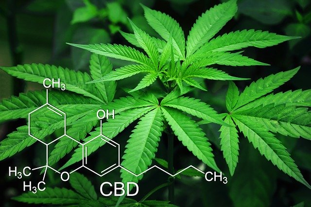 http://CoastKush.com is a #Brandable #DomainName possibly about the legalization of cannabis. #BuyItNow at https://jasonofflorida.com/domains-for-sale/ …#Domains #Domainers #Domaining #CoastKush