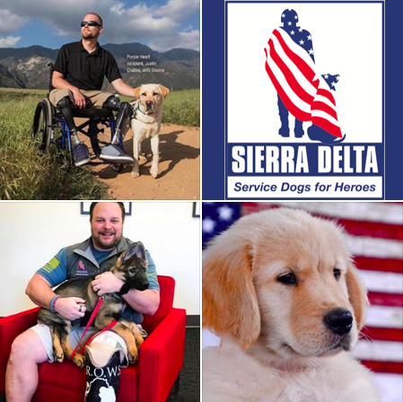 To those women and men who have served this country with honor and valor, we salute you. Thank you for your service. #veteransday @sierradeltaservicedogs #servicedogsforveterans