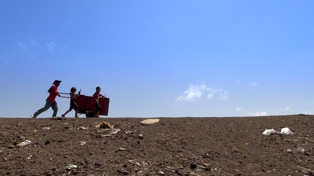 David Peck tweet media