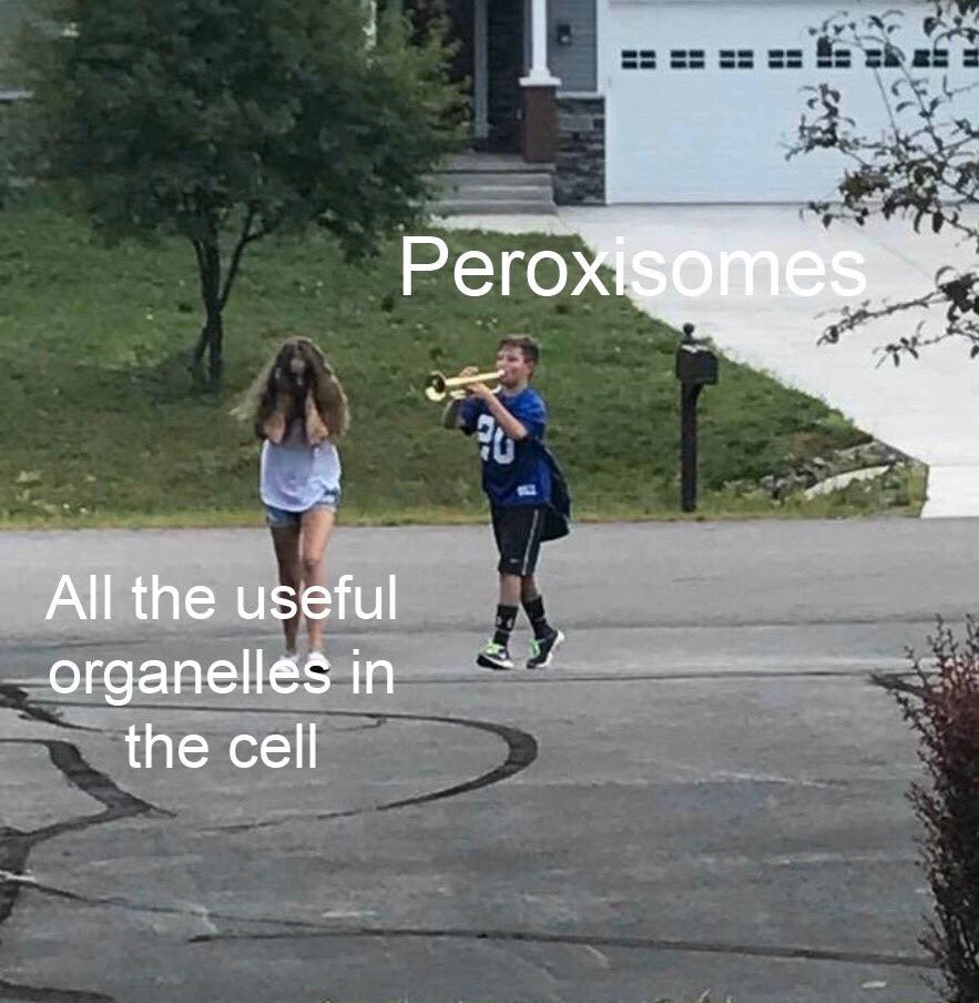 FirstChlorop's tweet photo. More meme incoming https://t.co/JVrxrFXW8G