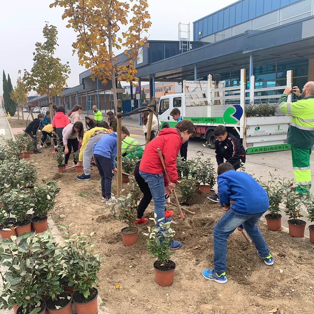 HipatiaFUHEM's tweet photo. El alumnado de sexto de primaria, continua mejorando el entorno desde que el año pasado, cursando quinto, iniciara su Proyecto de APS con marcado carácter ecosocial. 
Desde sus ejes de TIERRA 🏜️, AGUA🌊Y AIRE🌬️, continúa desarrollando actuaciones...
#Hipatia
#primariahipatia
#APS https://t.co/LJm3llE8Wp