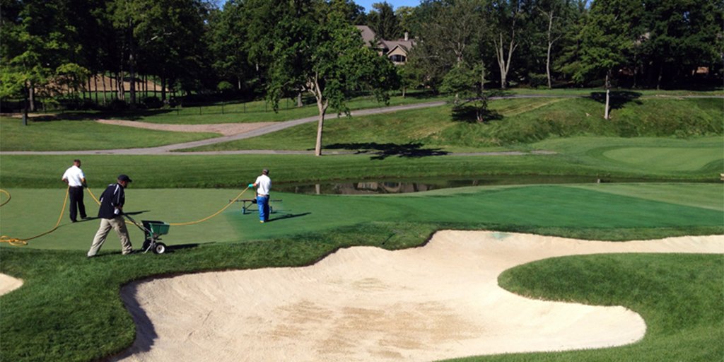 SyngentaTurf's tweet photo. In his latest blog, @GlobalTurf discusses the benefits of using pigments to improve #turf color and quality. https://t.co/G67Hw8Zzhn
#TurfInsights #Time4AppearII https://t.co/D2Jv7pMhuI