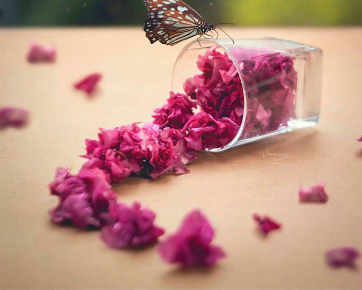 sweettalk__f's tweet image. تأتي السّعادة من نقاء النّفس و راحة البال و طمأنينة القلب 
فكن دائماً نقي النّفس في تعاملاتك مع الآخرين ..💜

عذبّوِك يّاقلبّي💕