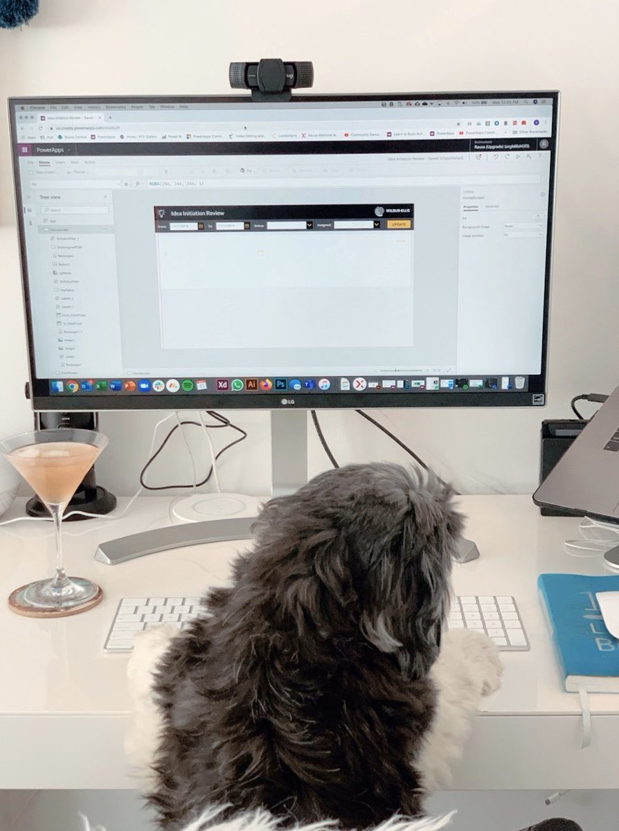 YusufBShariff's tweet image. Someone’s gotta work around here. It’s a doggy dog world 🐶 🦊 🤷🏻‍♂️ #PowerPups #LessCodeMoreTreats